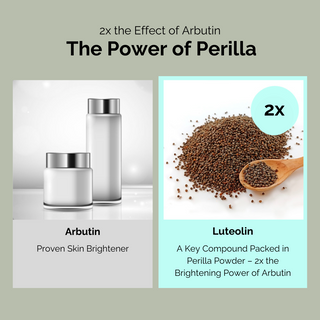 Perilla Brightening Cream